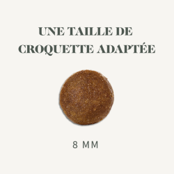 BAB'IN Bab'in Signature - Croquettes - Chien, Junior - Mini - Poulet Faunelia