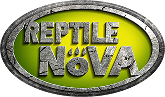 REPTILE NOVA